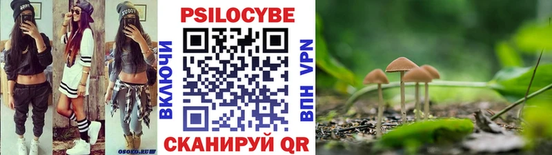 Псилоцибиновые грибы Cubensis Кольчугино