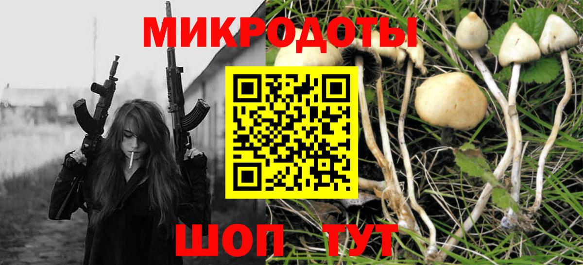 Галлюциногенные грибы ЛСД  магазин продажи   Галлюциногенные грибы Psilocybe  Кольчугино 
