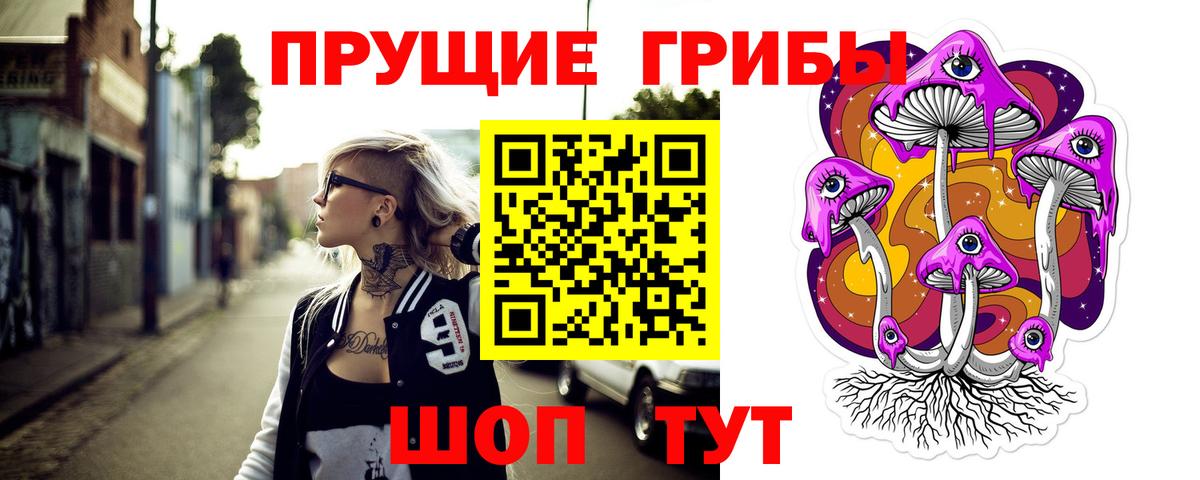 Кольчугино  Галлюциногенные грибы MAGIC MUSHROOMS  Вход с VPN 