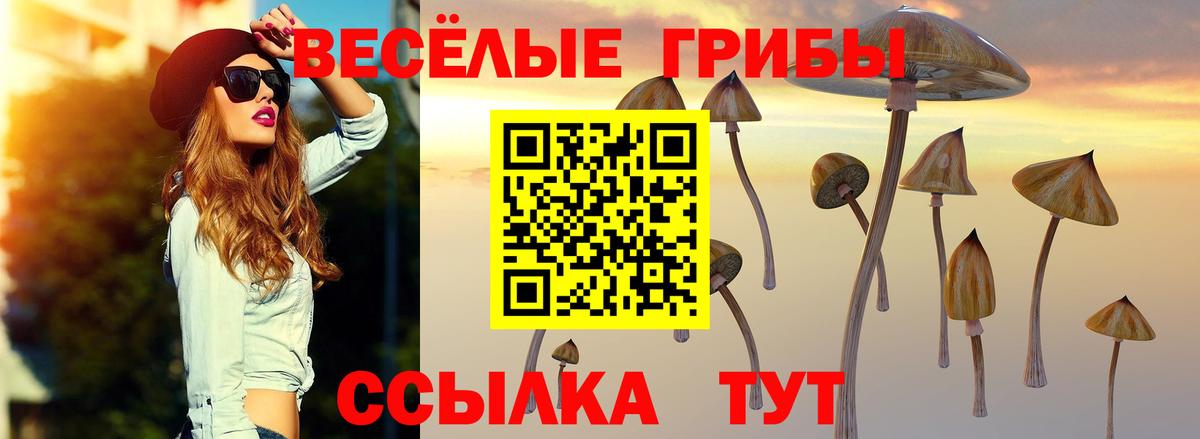 Галлюциногенные грибы MAGIC MUSHROOMS Кольчугино