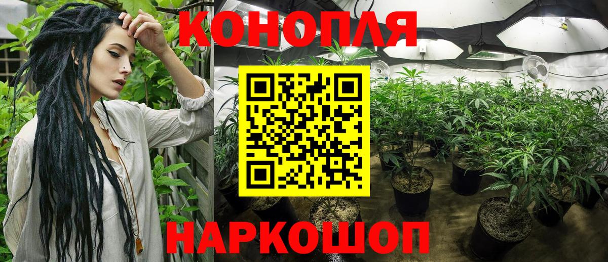 Бошки Шишки гибрид Кольчугино